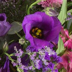 Florist&#39;s Choice Basket Arrangement